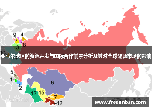 亚马尔地区的资源开发与国际合作前景分析及其对全球能源市场的影响